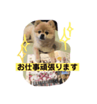 ぷりんさんのスタンプ（個別スタンプ：7）