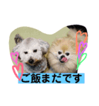 ぷりんさんのスタンプ（個別スタンプ：8）