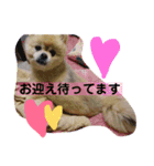 ぷりんさんのスタンプ（個別スタンプ：9）