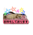 ぷりんさんのスタンプ（個別スタンプ：10）