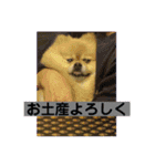 ぷりんさんのスタンプ（個別スタンプ：15）