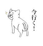 犬か猫か分からない奴（個別スタンプ：2）