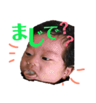 Sa.family（個別スタンプ：12）