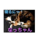 うめ、くろ、りあ、あり、なっちゃんもだよ（個別スタンプ：4）