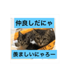 うめ、くろ、りあ、あり、なっちゃんもだよ（個別スタンプ：5）