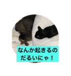 うめ、くろ、りあ、あり、なっちゃんもだよ（個別スタンプ：21）