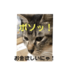 うめ、くろ、りあ、あり、なっちゃんもだよ（個別スタンプ：24）