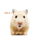 三代目ポウの日々（個別スタンプ：2）