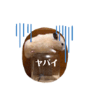 三代目ポウの日々（個別スタンプ：14）