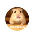 三代目ポウの日々（個別スタンプ：16）