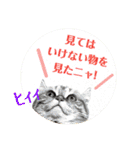 美猫姉妹小梅＆うずら①（個別スタンプ：23）