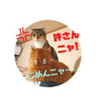 美猫姉妹小梅＆うずら①（個別スタンプ：29）