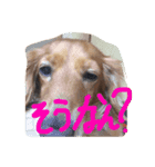 空ちゃんのスタンプもどき（個別スタンプ：7）