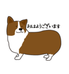 コーギー犬のロンくん（個別スタンプ：1）