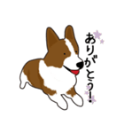 コーギー犬のロンくん（個別スタンプ：6）