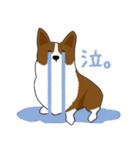 コーギー犬のロンくん（個別スタンプ：15）