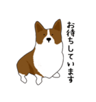 コーギー犬のロンくん（個別スタンプ：20）