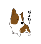 コーギー犬のロンくん（個別スタンプ：28）