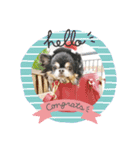 ちゃまろん  ╰( U ・ᴥ・)m（個別スタンプ：7）