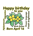 4月、誕生日ごとの誕生花、花言葉。（個別スタンプ：16）