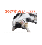 レムちゃん（個別スタンプ：3）