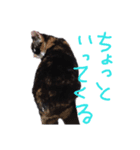 レムちゃん（個別スタンプ：6）
