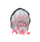 レムちゃん（個別スタンプ：8）