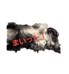 うちのペットども1 OUR PET 1（個別スタンプ：3）