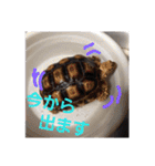 うちのペットども1 OUR PET 1（個別スタンプ：22）