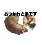 へんな猫のスタンプ（個別スタンプ：1）