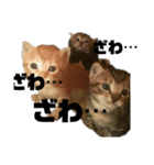 へんな猫のスタンプ（個別スタンプ：5）