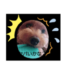 ぼぼれおんスタンプ☆（個別スタンプ：4）