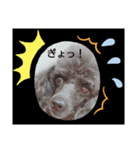 ぼぼれおんスタンプ☆（個別スタンプ：5）