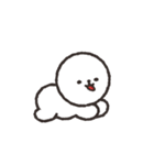 しらたま犬スタンプ（個別スタンプ：9）