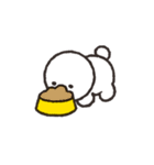 しらたま犬スタンプ（個別スタンプ：28）