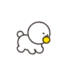 しらたま犬スタンプ（個別スタンプ：38）