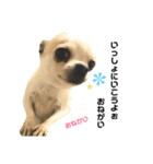 トトの気っ持ち♪（個別スタンプ：5）