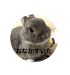 つみれスタンプ（個別スタンプ：9）