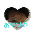 うさぎのナッツですぞ～2（個別スタンプ：8）
