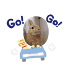 うさぎのナッツですぞ～2（個別スタンプ：14）