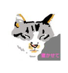 うちの子大吉（個別スタンプ：4）