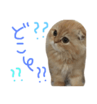 ちょらとその仲間たち（個別スタンプ：10）