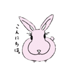 正面兎（個別スタンプ：1）