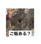 つみれスタンプ ②（個別スタンプ：8）