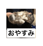 つみれスタンプ ②（個別スタンプ：9）