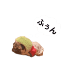 パグの福丸（個別スタンプ：22）
