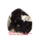 澤田びび（個別スタンプ：2）