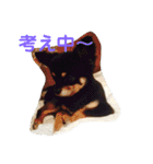 澤田びび（個別スタンプ：3）