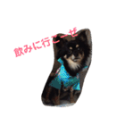 澤田びび（個別スタンプ：4）