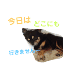 澤田びび（個別スタンプ：9）